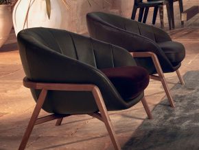 Fauteuil Natuzzi Pour Salon